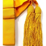 Aiguillettes